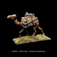 Load image into Gallery viewer, 48-0205:  Pack Camel II, With Shields
