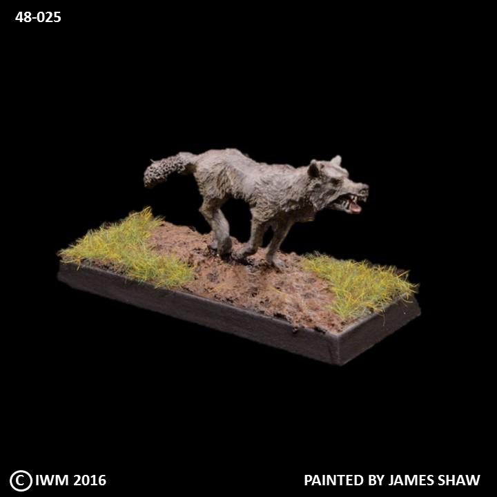 48-0025:  Feral Wolf, Standing