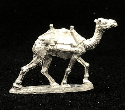 48-0293:  Saddled Camel (British Saddle), Standing