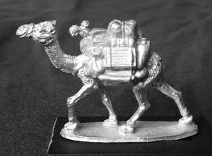 48-0204:  Pack Camel I, No Shields