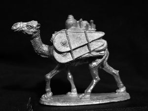 48-0205:  Pack Camel II, With Shields