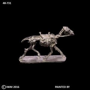 48-0731:  Skeletal Horse, Saddled