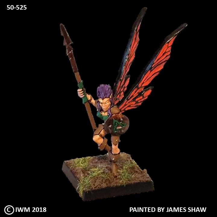 50-0525:  Fairy Warrior with Round Shield