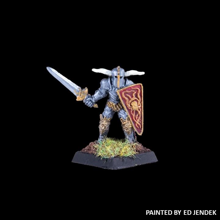 51-0502:  Chaos Acolyte with Sword and Kite Shield