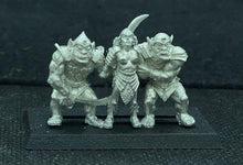 Load image into Gallery viewer, 51-9086:  Goblin Guards with Prisoner
