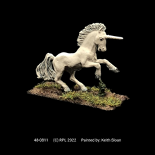 Load image into Gallery viewer, 48-0811:  Unicorn I
