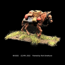 Load image into Gallery viewer, 48-0202:  Pack Mule, Shield on Left Side
