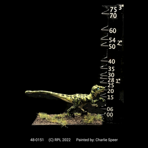 48-0151:  Raptor I