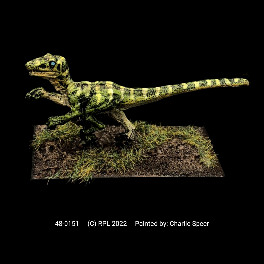 48-0151:  Raptor I