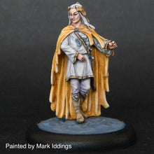 Load image into Gallery viewer, TMM-8042 Wood Elf Lord
